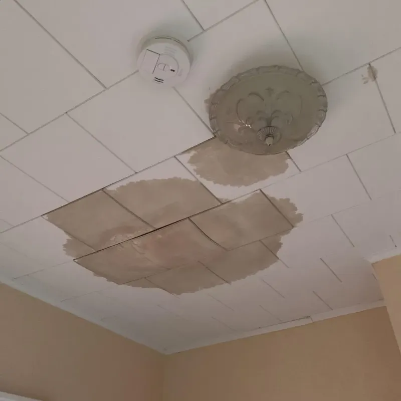 Ceiling Water Damage Repair in Bedford, VA