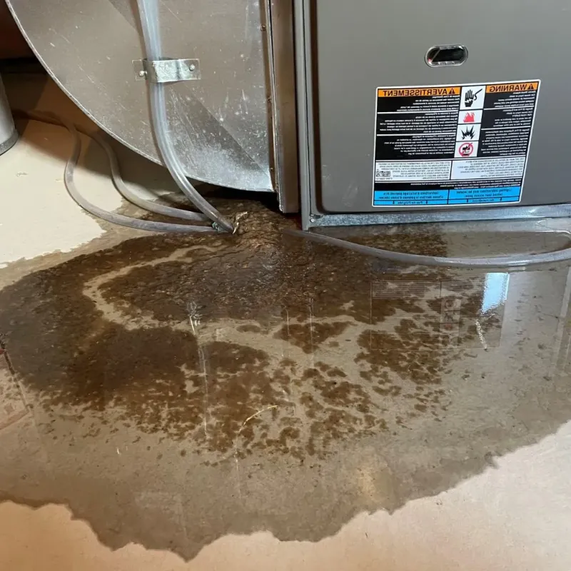 Pipe Burst and Leak Restoration in Bedford, VA