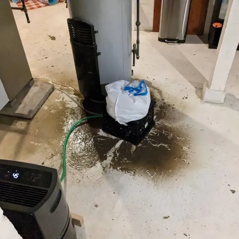 Sewage Backup Cleanup Service in Bedford, VA